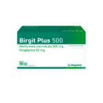 BIRGIT